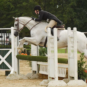 Meet your Posher, Bri